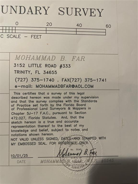 Ocasta Avenue New Port Richey, FL 34654 - Photo 22 of 23