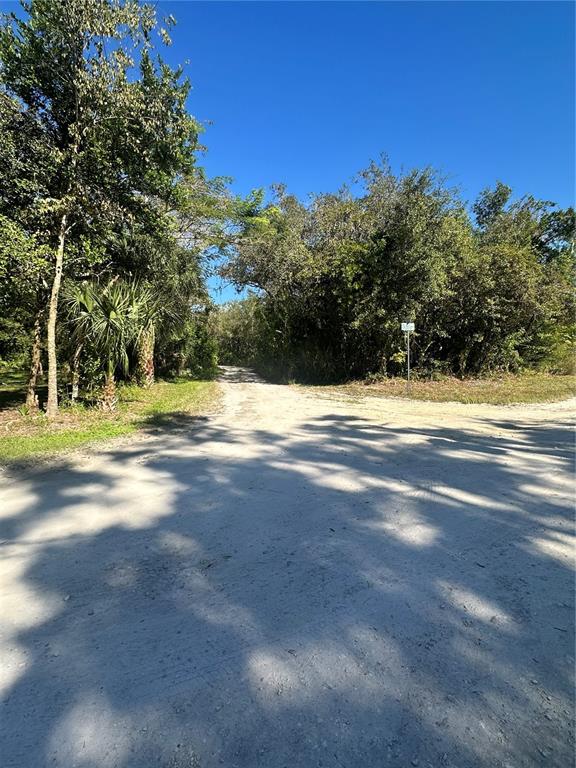 Ocasta Avenue New Port Richey, FL 34654 - Photo 5 of 23