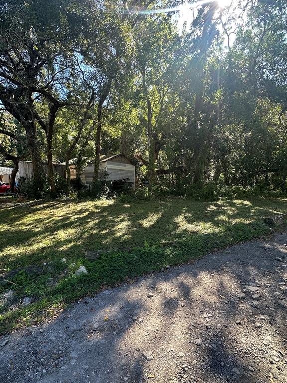 Ocasta Avenue New Port Richey, FL 34654 - Photo 6 of 23