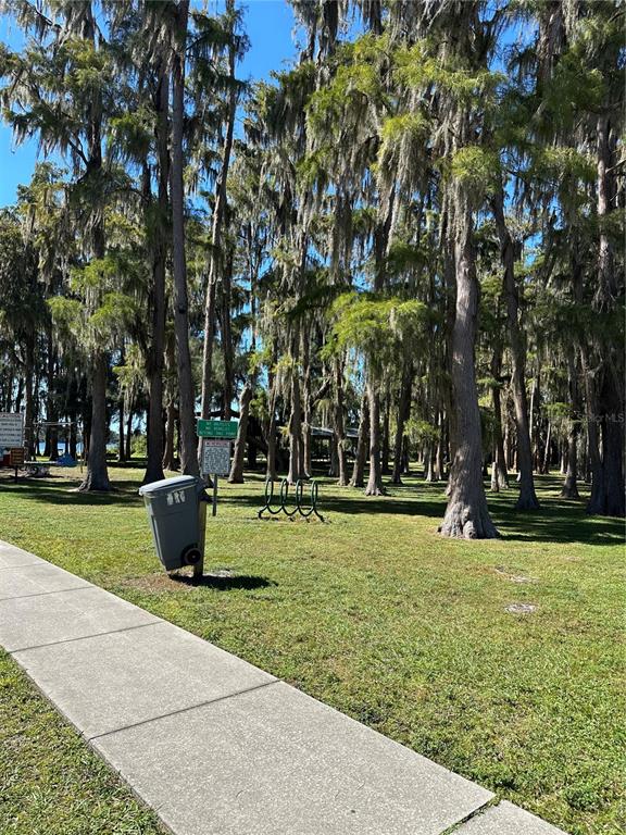 Ocasta Avenue New Port Richey, FL 34654 - Photo 9 of 23