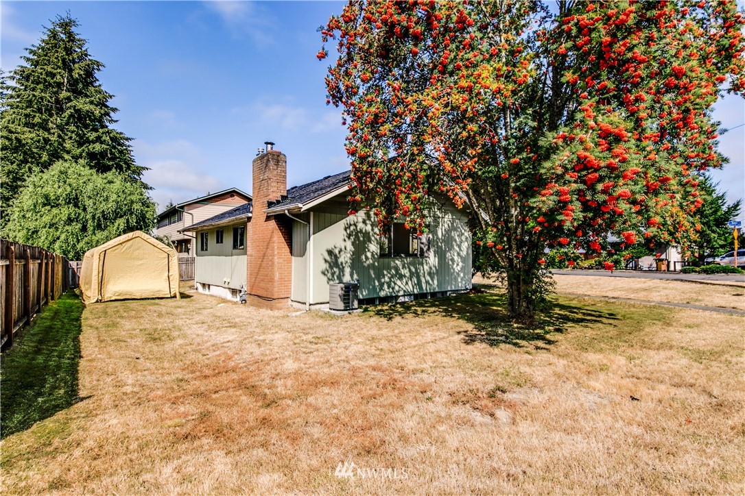 902 South Mullen Street Tacoma, WA 98405 - Photo 30 of 30 a small yard with a tree in the background