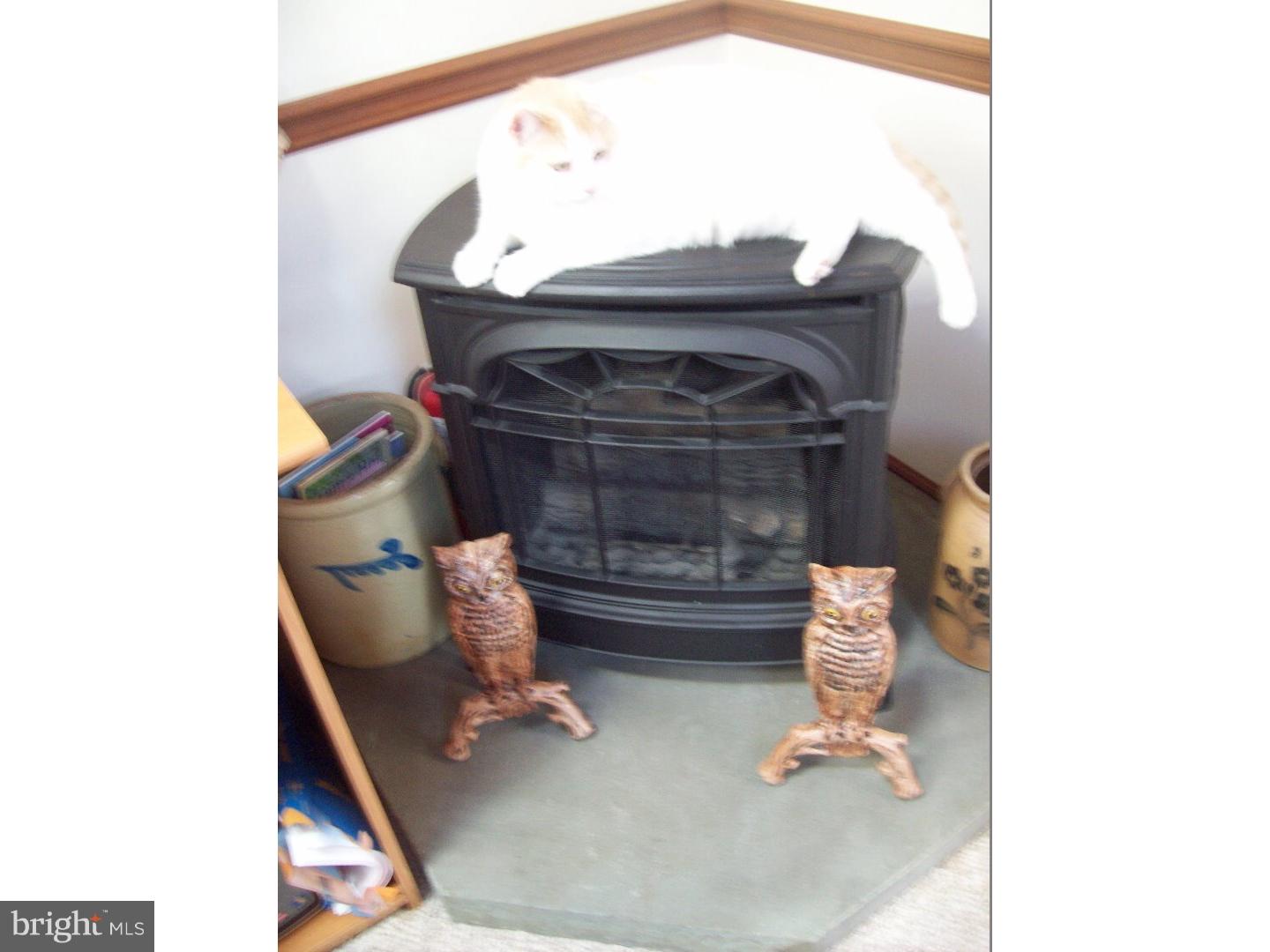 3635 Glenway Road Huntingdon Valley, PA 19006 - Photo 24 of 25 Gallery Image 24