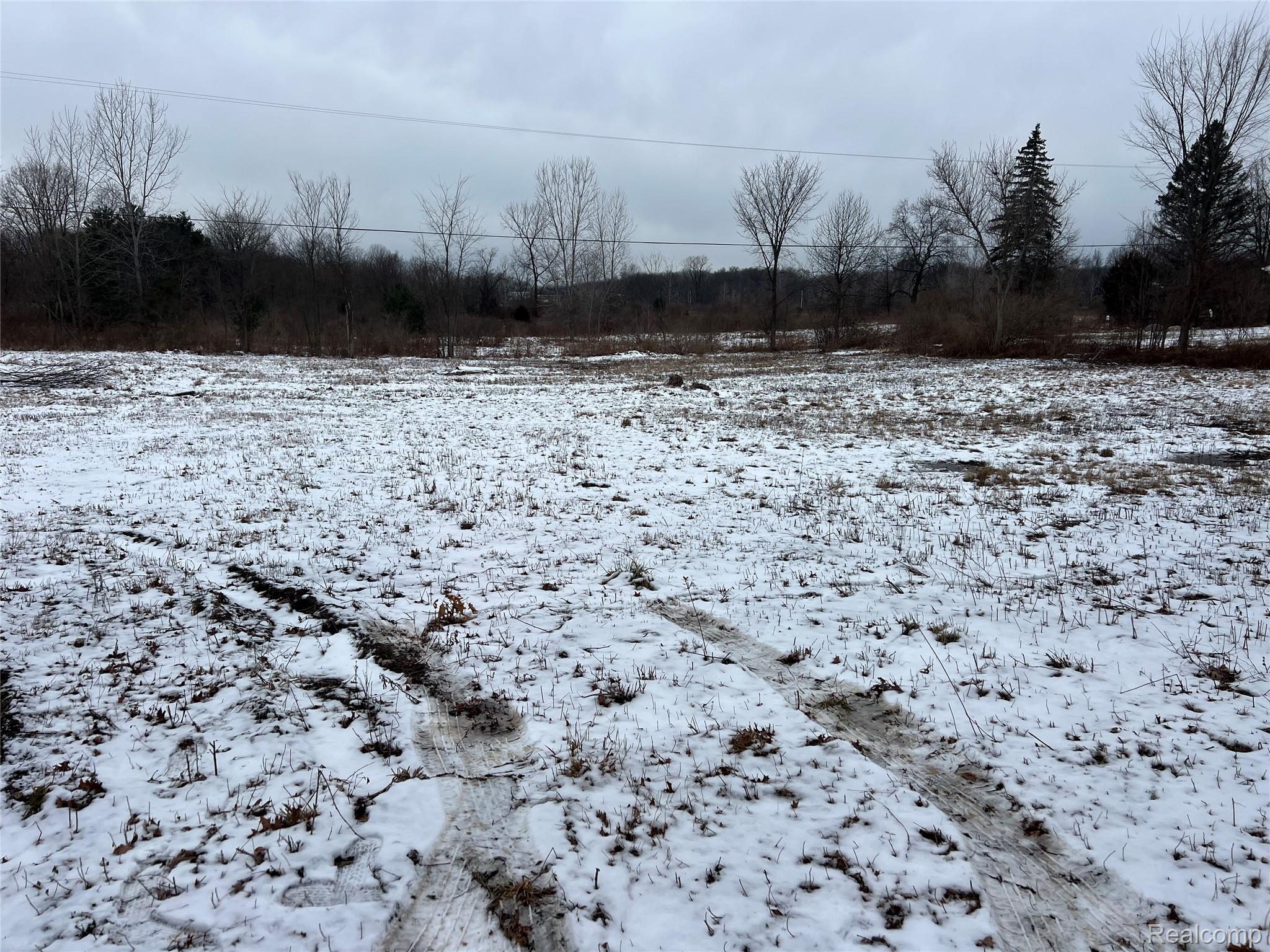 -vl North Vl N Latson Road Howell, MI 48855 - Photo 12 of 18 View of yard covered in snow