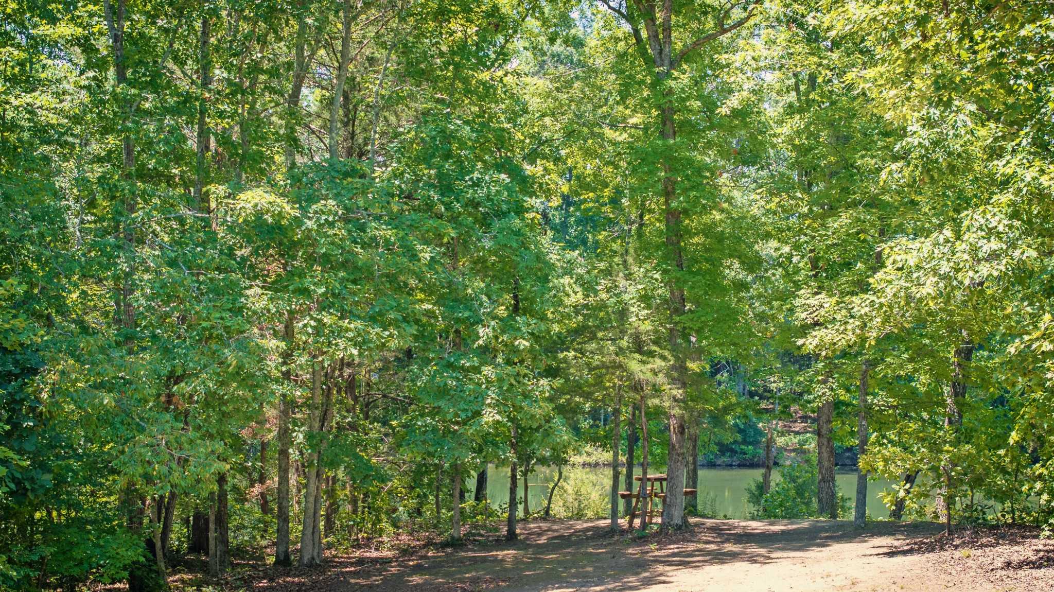 882 Lower River Road Decatur, TN 37322 - Photo 18 of 25