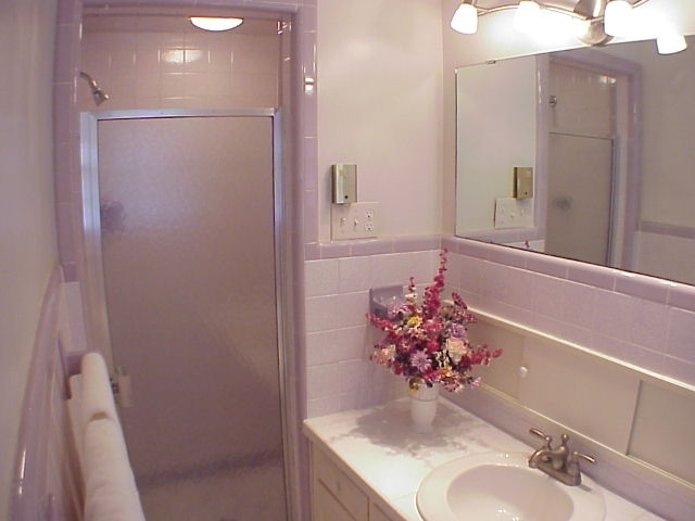 4521 Rosecrest Road Roanoke, VA 24018 - Photo 14 of 27 a bathroom with a sink vanity and a mirror