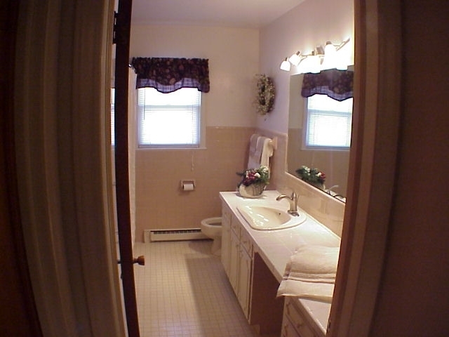 4521 Rosecrest Road Roanoke, VA 24018 - Photo 17 of 27 a bathroom with a sink vanity and a mirror