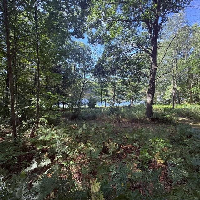 Tbd West Lilja Avenue Shell Lake, WI 54871 - Photo 20 of 23 Gallery Image 20