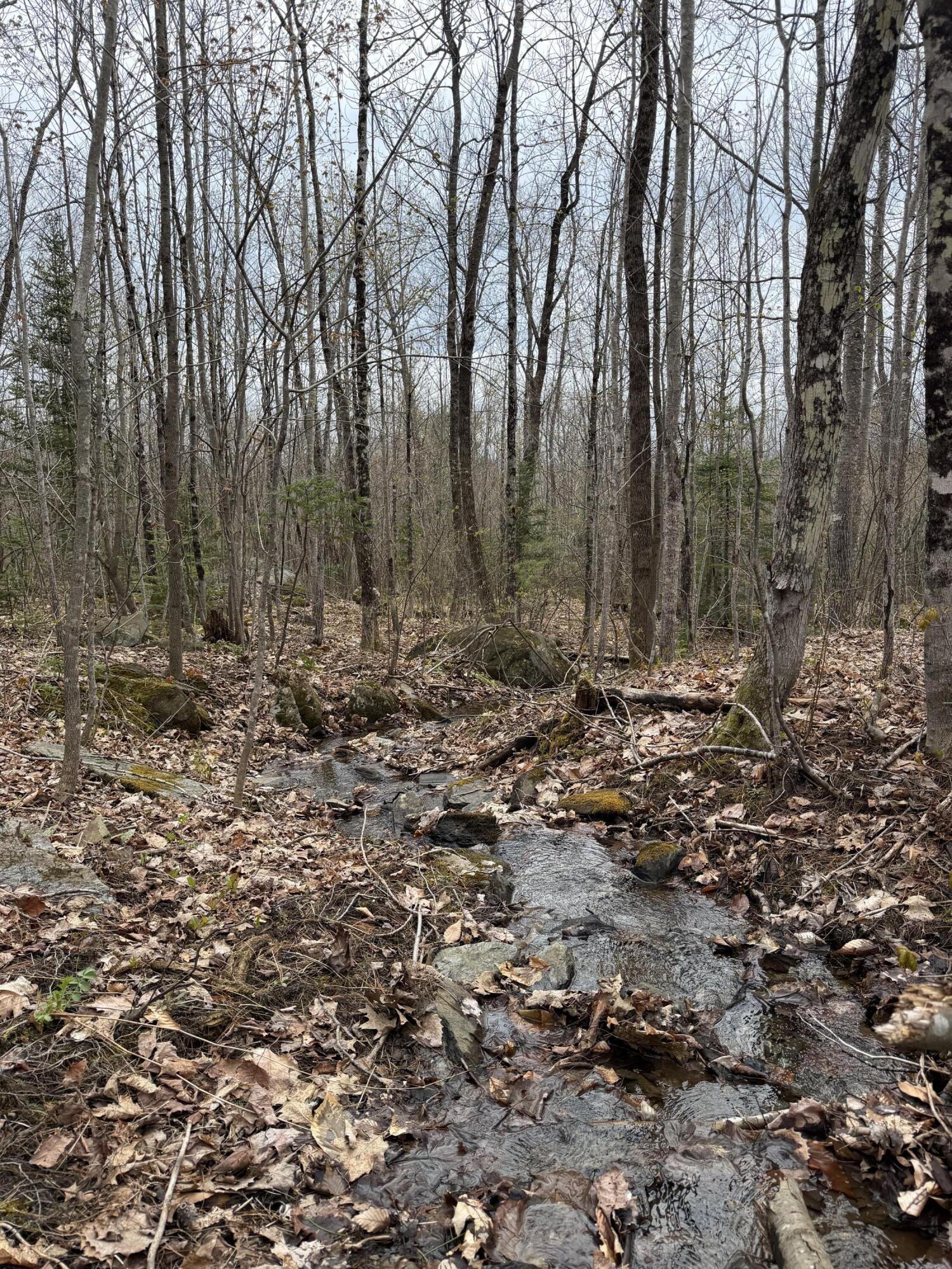 Lot 2 Mooseley Ridge Road Phillips, ME 04966 - Photo 12 of 24