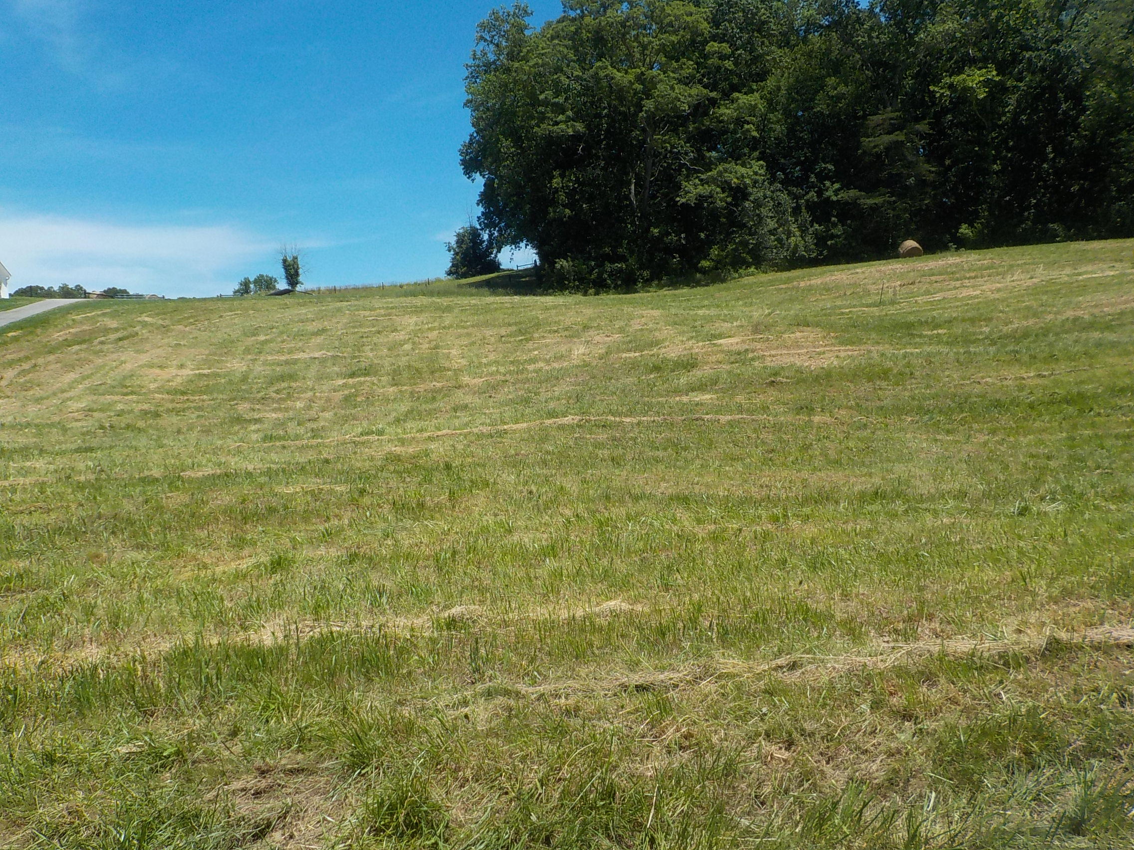 Lot 7 Brown Road Blaine, TN 37709 - Photo 1 of 14 001