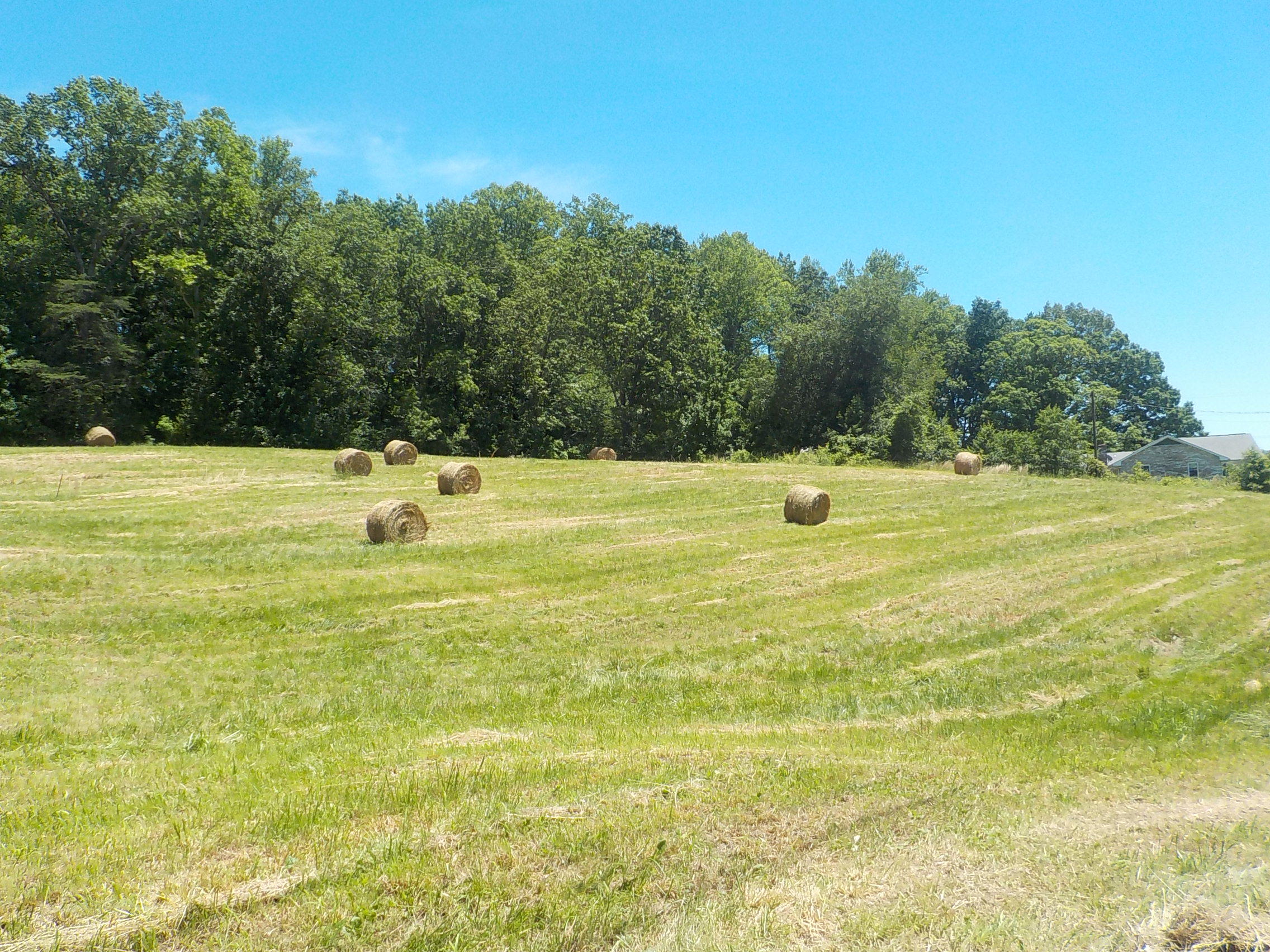 Lot 7 Brown Road Blaine, TN 37709 - Photo 2 of 14 002