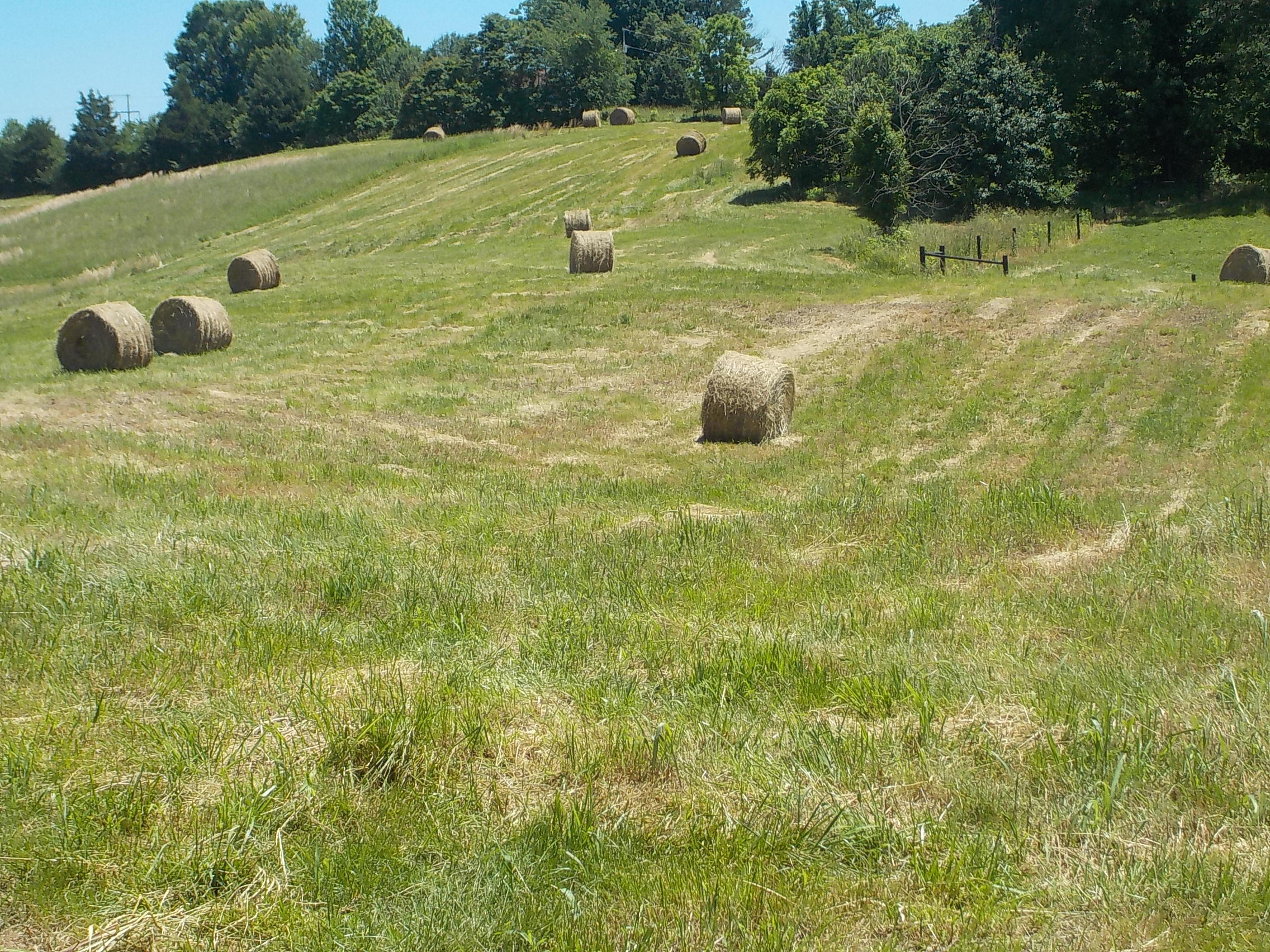 Lot 7 Brown Road Blaine, TN 37709 - Photo 11 of 14 011