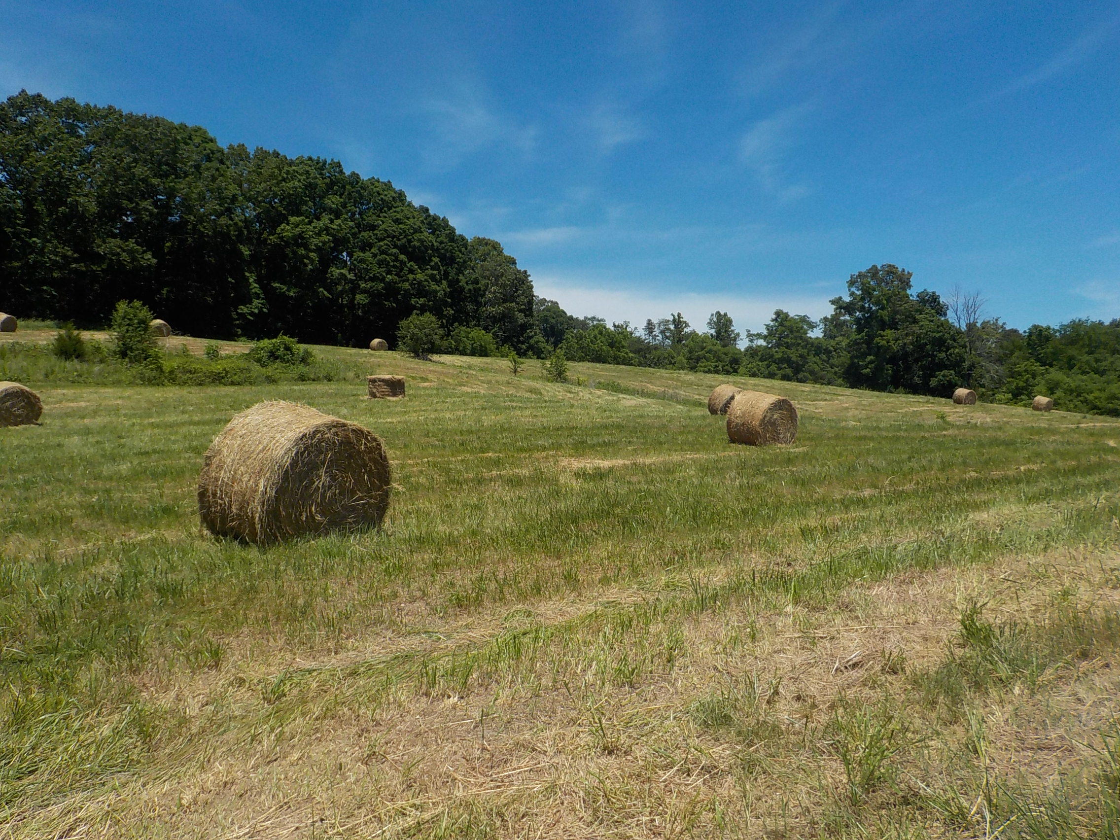 Lot 7 Brown Road Blaine, TN 37709 - Photo 12 of 14 012