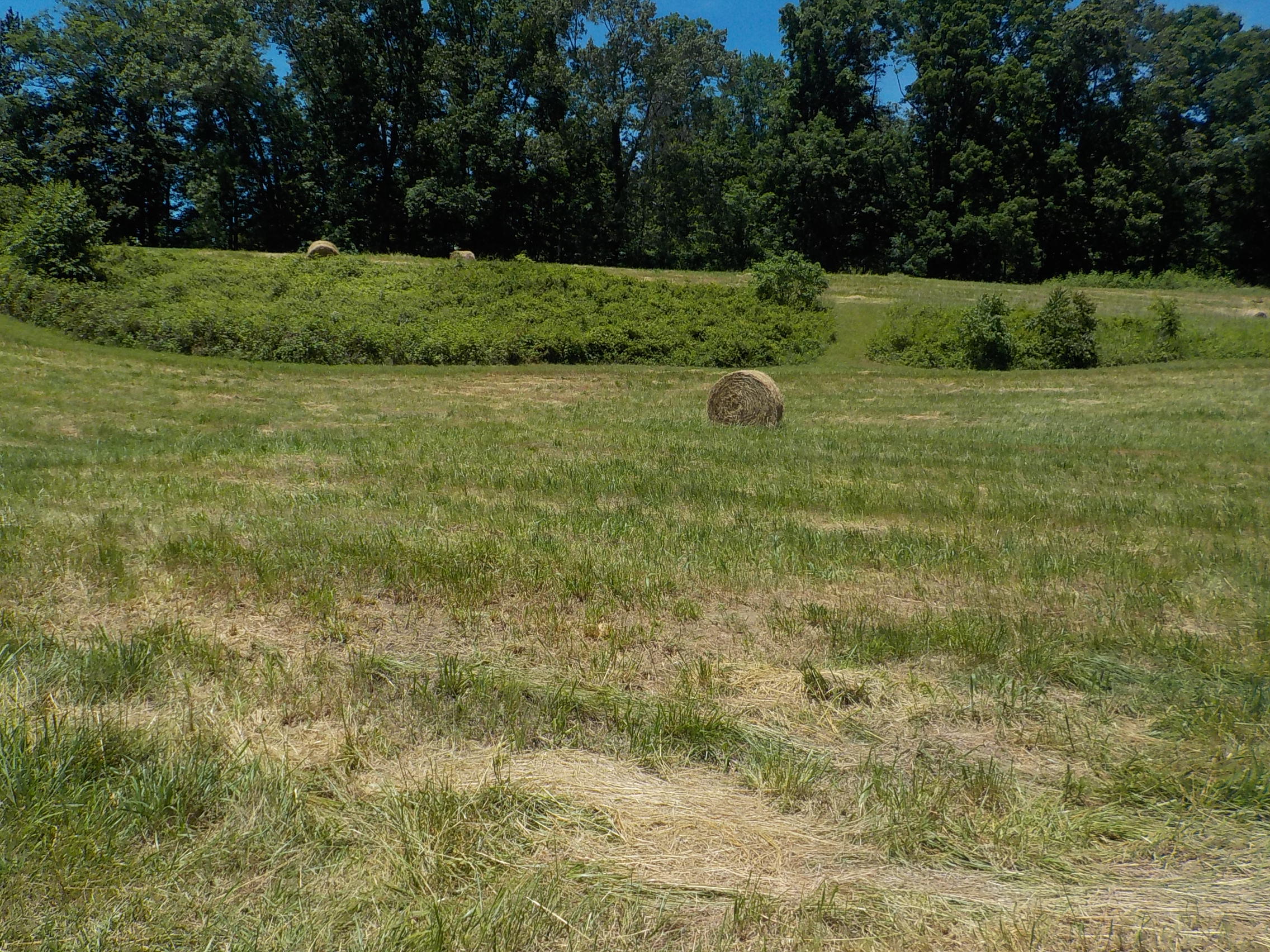 Lot 7 Brown Road Blaine, TN 37709 - Photo 13 of 14 013