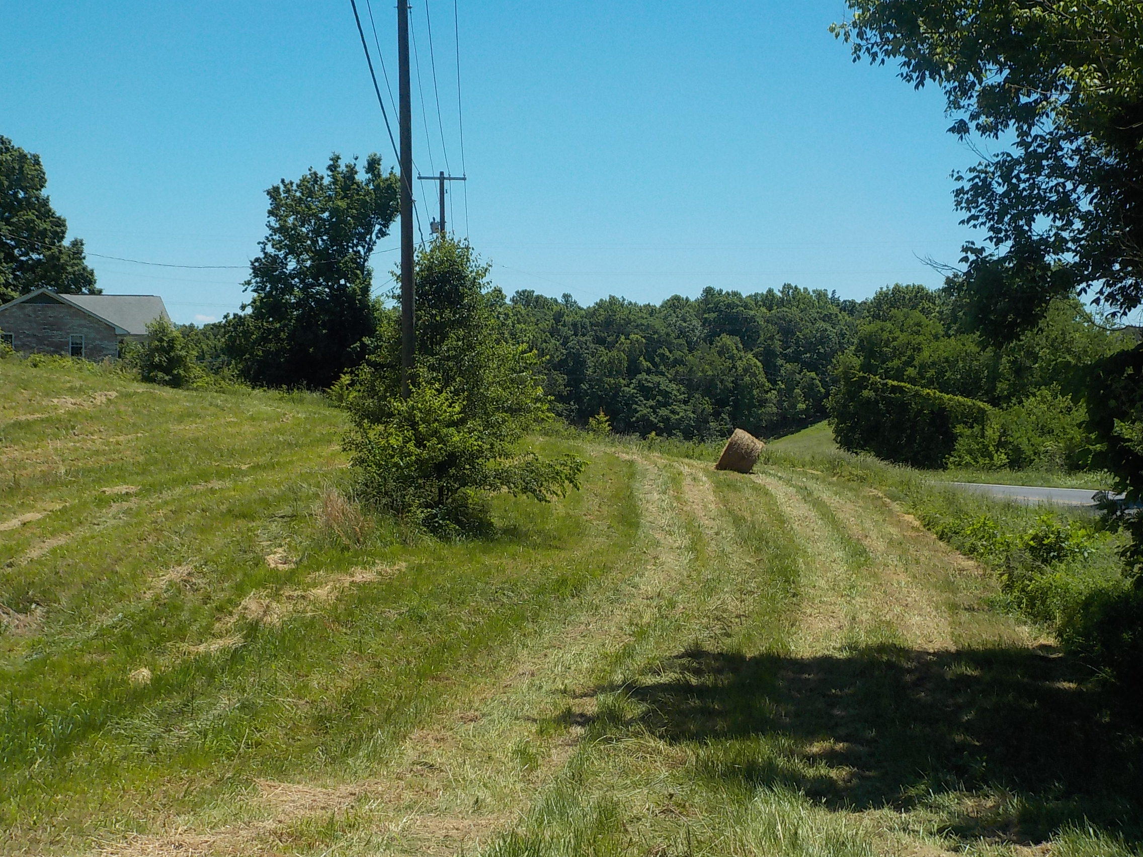 Lot 7 Brown Road Blaine, TN 37709 - Photo 3 of 14 003