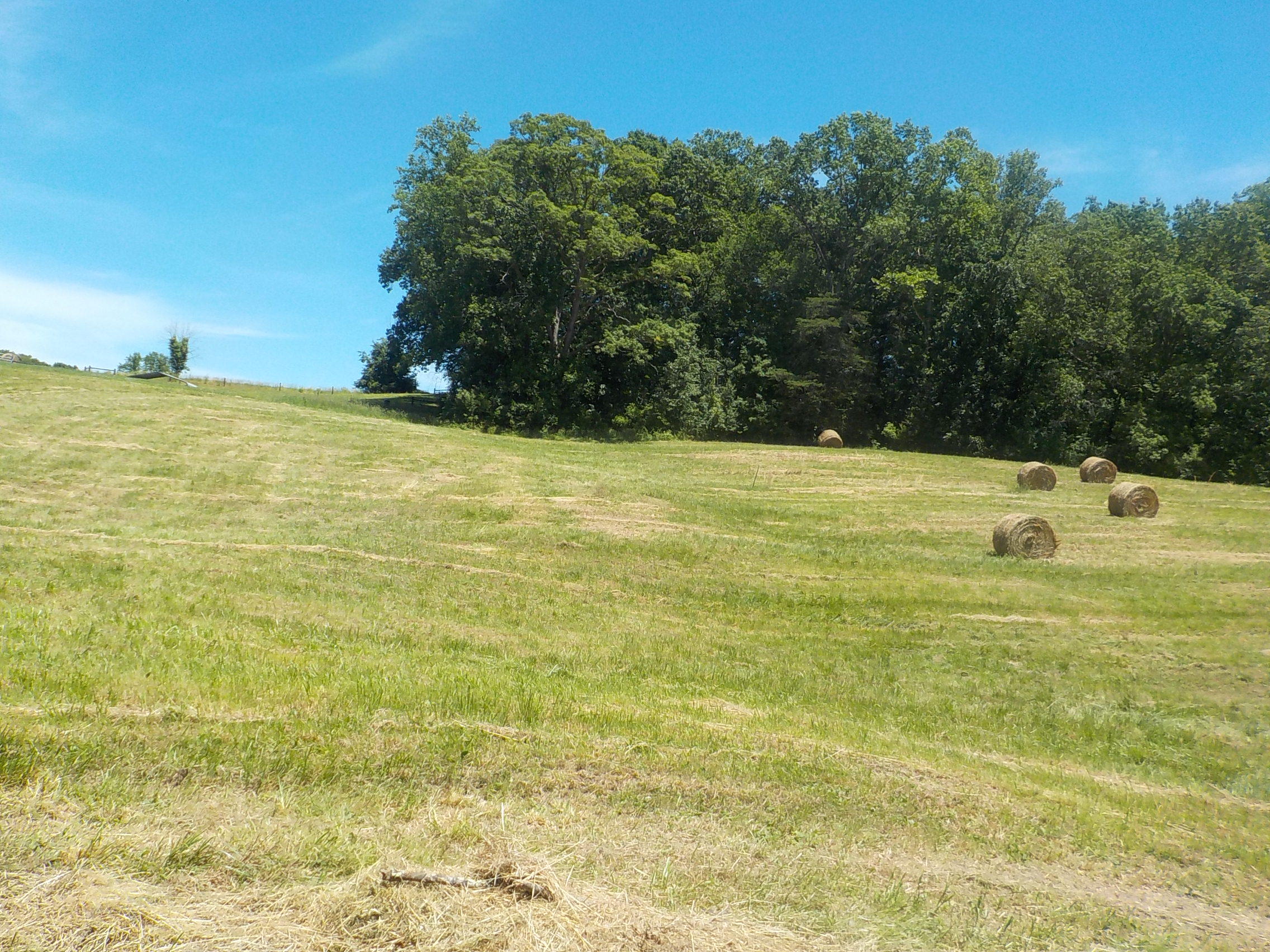 Lot 7 Brown Road Blaine, TN 37709 - Photo 4 of 14 004