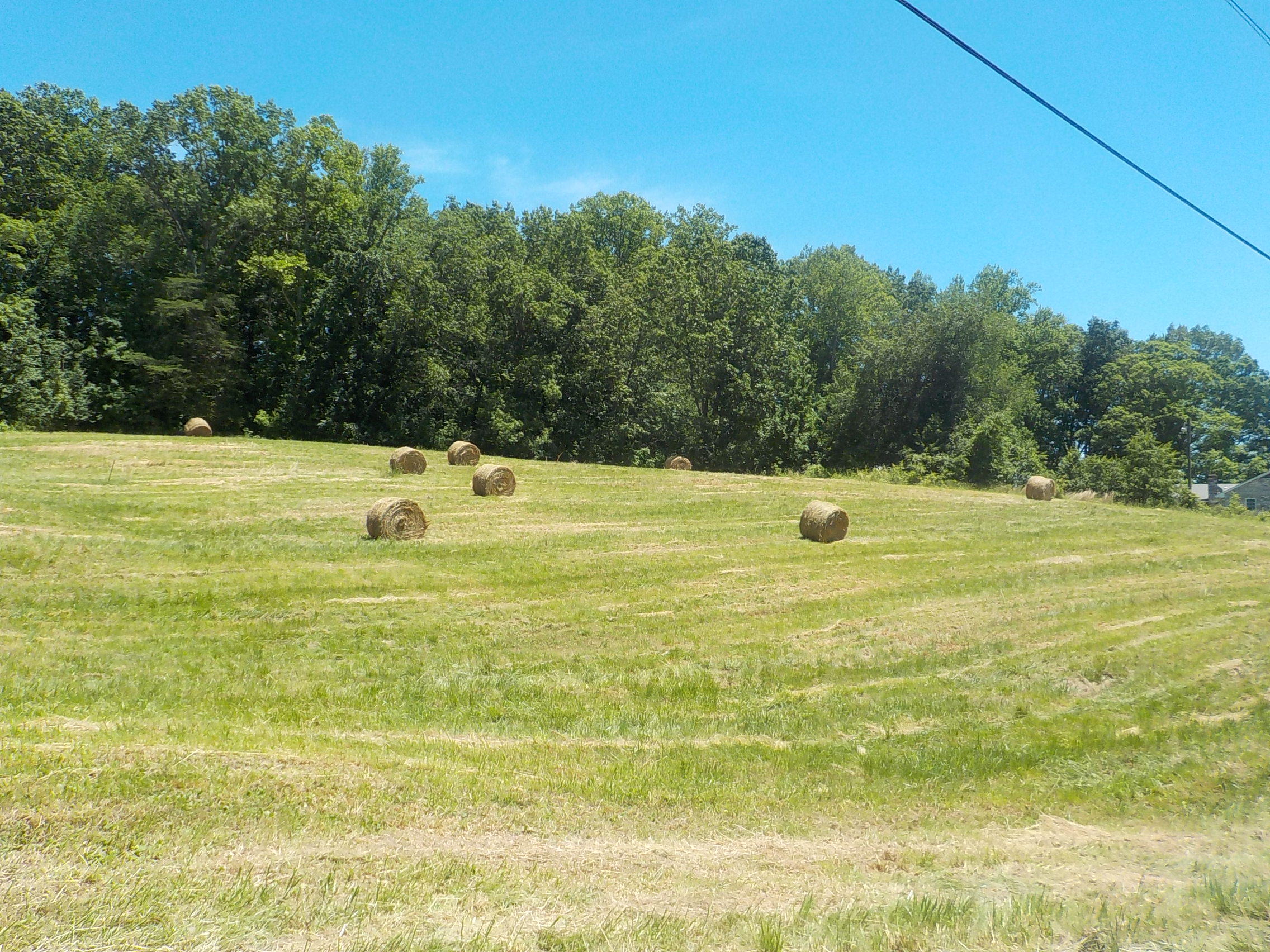 Lot 7 Brown Road Blaine, TN 37709 - Photo 5 of 14 005
