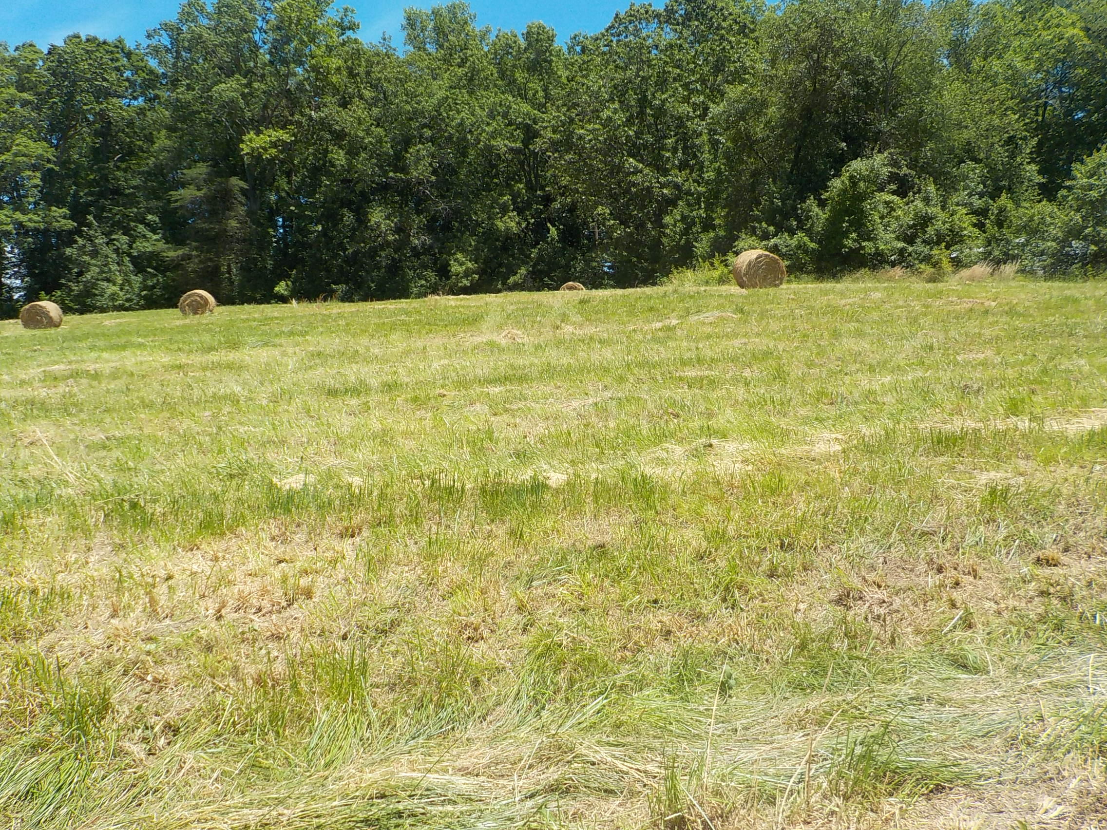 Lot 7 Brown Road Blaine, TN 37709 - Photo 6 of 14 006