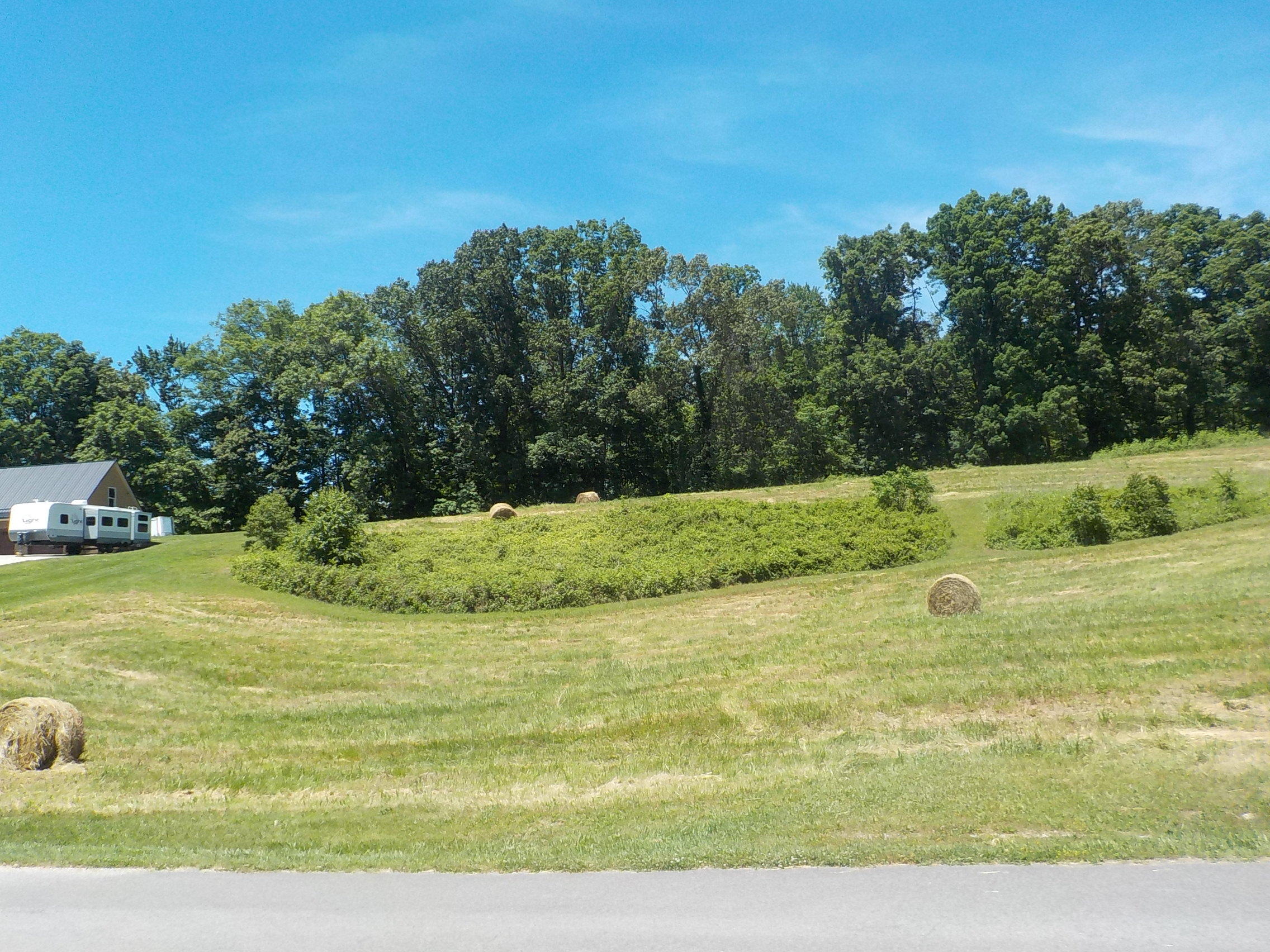 Lot 7 Brown Road Blaine, TN 37709 - Photo 7 of 14 007