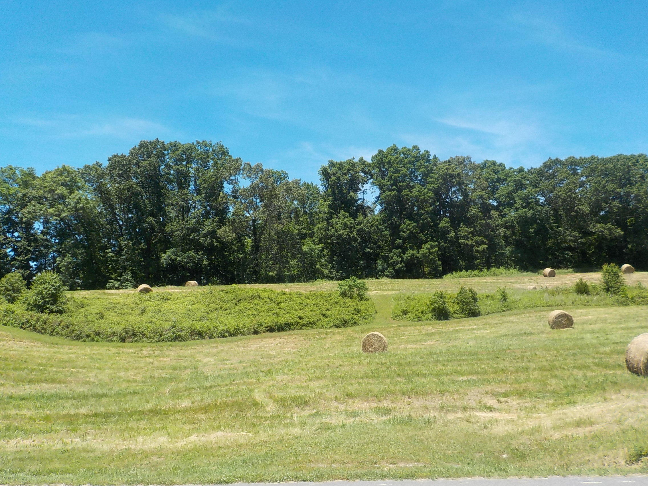 Lot 7 Brown Road Blaine, TN 37709 - Photo 8 of 14 008