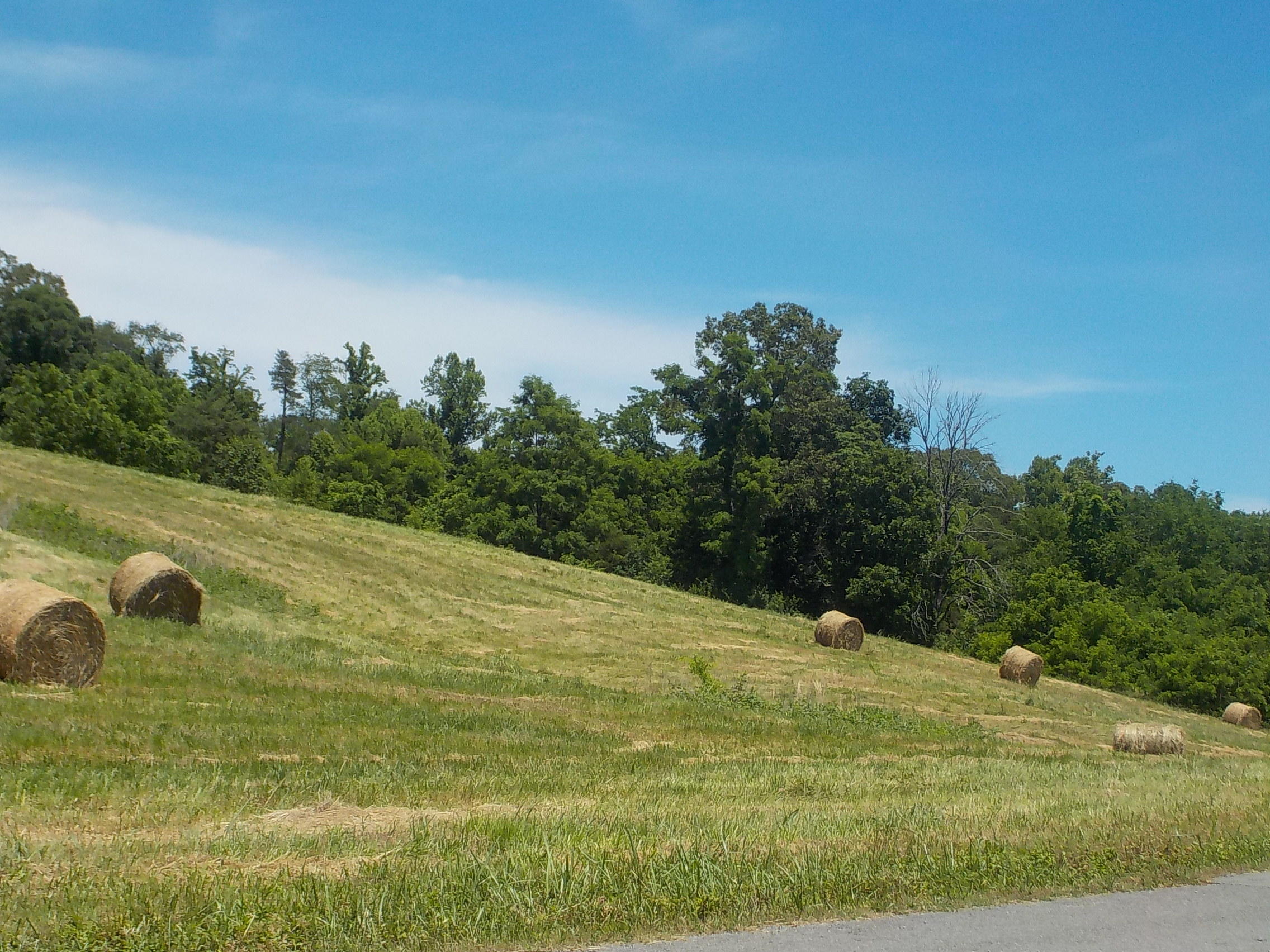 Lot 7 Brown Road Blaine, TN 37709 - Photo 10 of 14 010