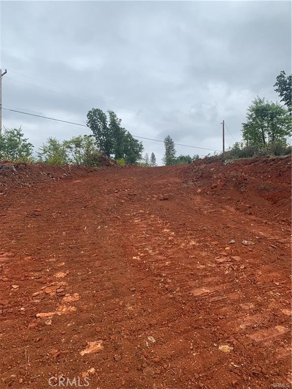 0 Bille Road Paradise, CA 95969 - Photo 10 of 11 a view of a field with plants and trees