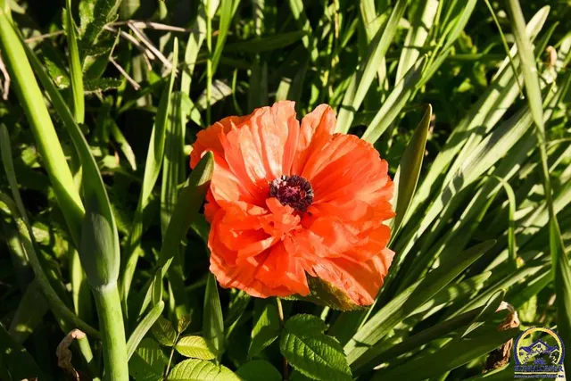 $372,000 | 18409 Harveyville Road, Harveyville, KS 66431