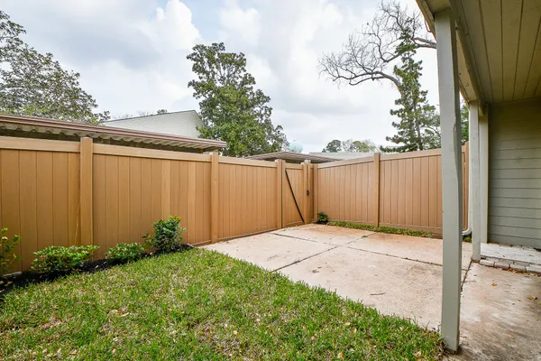 a view of backyard with large windows and a large tree