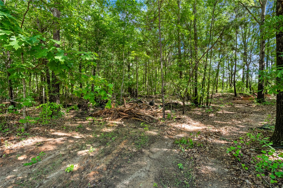 131 Lockaby Road Pelzer, SC 29669 - Photo 39 of 50 This tranquil lot offers a peaceful escape, providing a verdant canvas for your vision.
