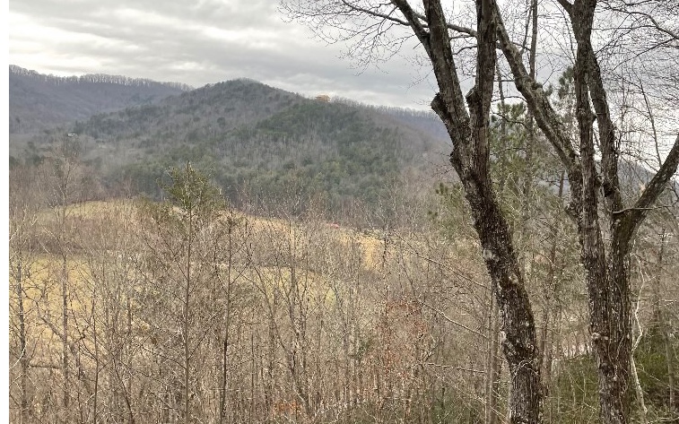 2288 Layson Road Hiawassee, GA 30546 - Photo 2 of 4 Additional View