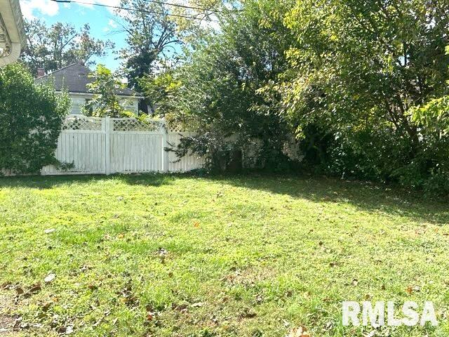 2027 Herbert Street Murphysboro, IL 62966 - Photo 13 of 14