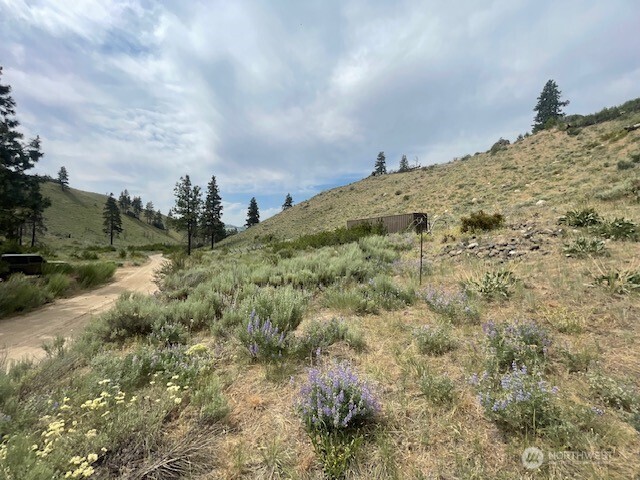 0 Spring Canyon Road Orondo, WA 98843 - Photo 2 of 11 a view of a dry yard