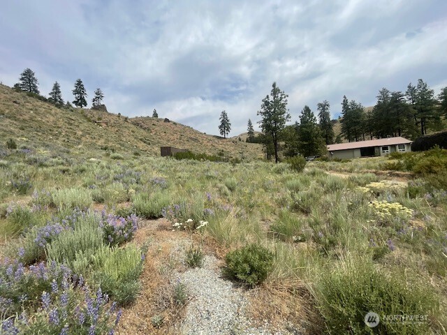 0 Spring Canyon Road Orondo, WA 98843 - Photo 5 of 11 a view of a dry yard