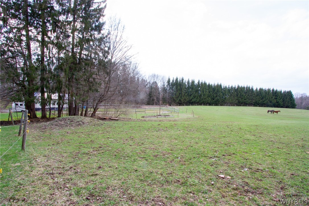 10880 Matteson Corners Road Sardinia, NY 14080 - Photo 22 of 33