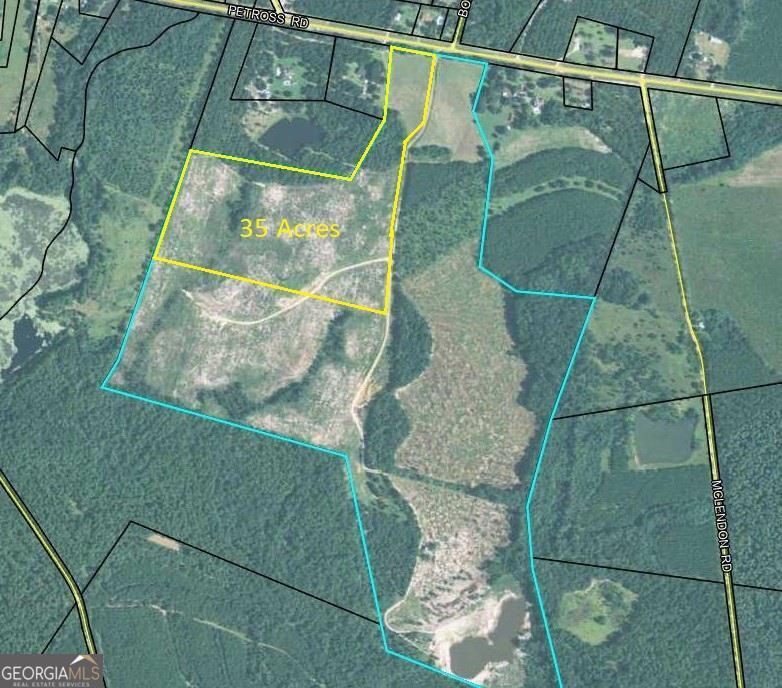 0 Petross Road Ailey, GA 30410 - Photo 1 of 1 Main View