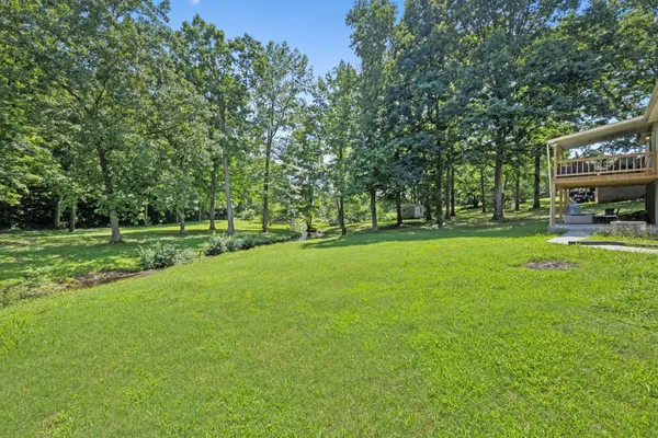a view of a yard with a tree