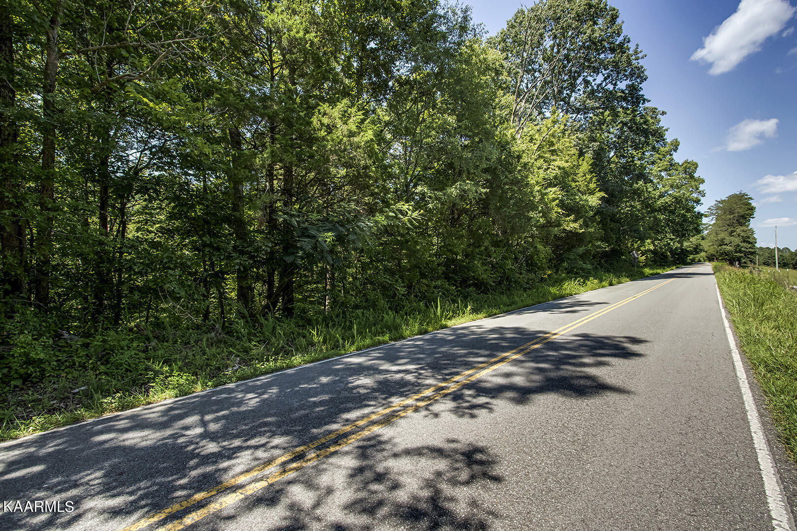 North Nopone Valley Road Decatur, TN 37322 - Photo 3 of 15 03_SNoponeValleyRoad_Road_N-NE