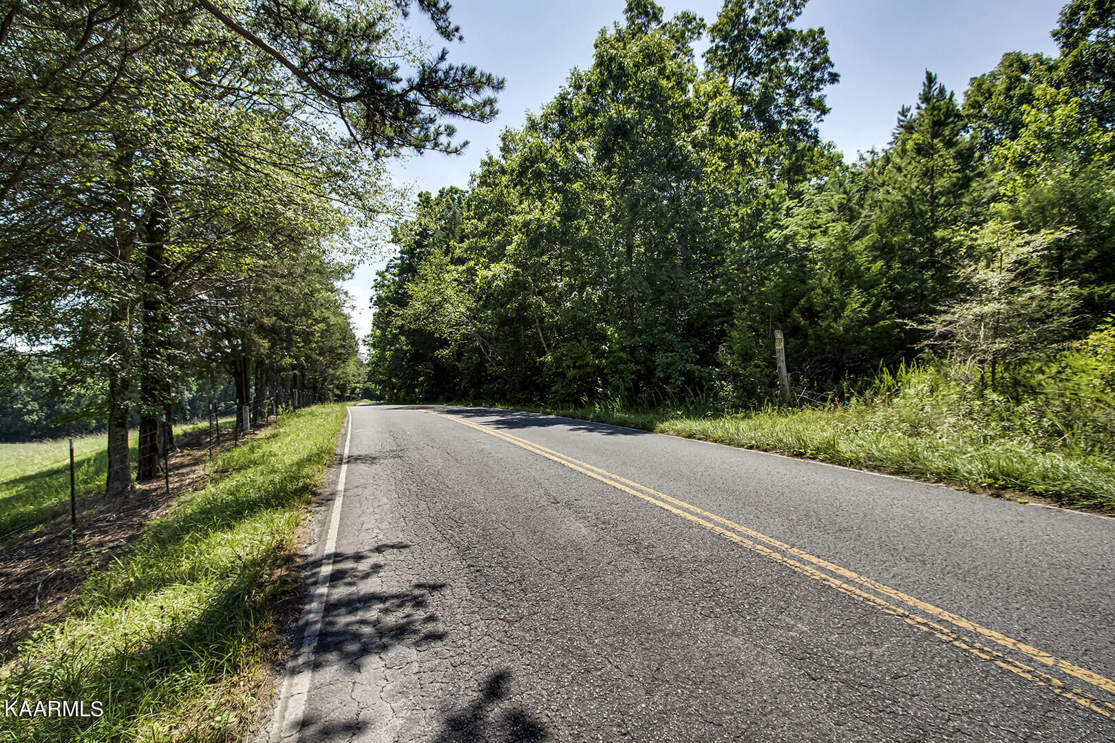 North Nopone Valley Road Decatur, TN 37322 - Photo 5 of 15 05_SNoponeValleyRoad_Road_S-SW