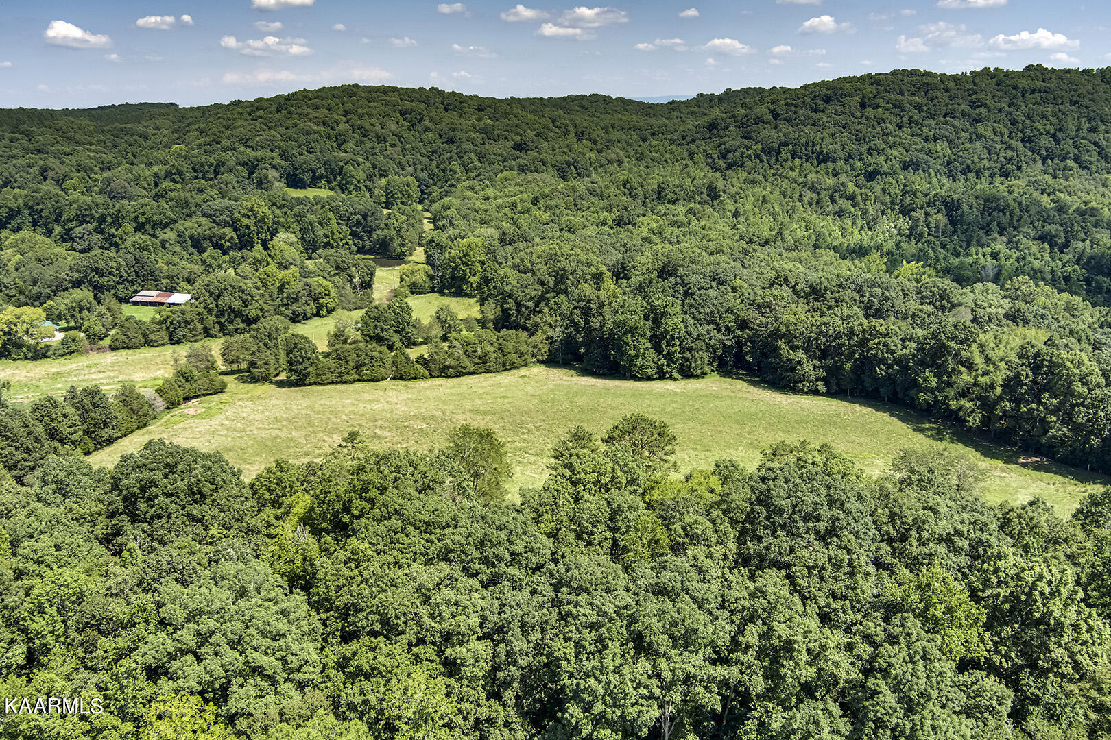 North Nopone Valley Road Decatur, TN 37322 - Photo 6 of 15 06_SNoponeValleyRoad_TractBack_SE