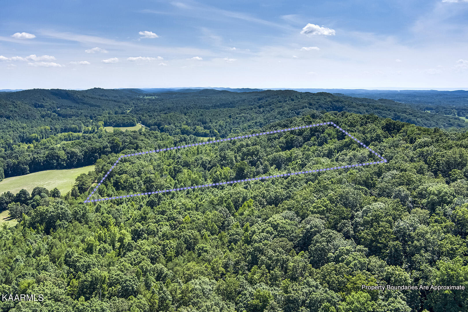 North Nopone Valley Road Decatur, TN 37322 - Photo 9 of 15 09_SNoponeValleyRoad_Birdseye_S-SW