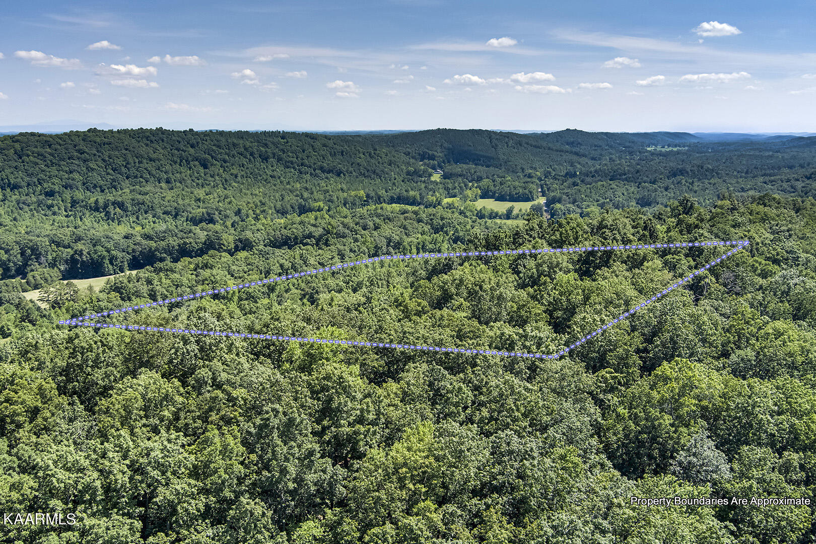 North Nopone Valley Road Decatur, TN 37322 - Photo 10 of 15 10_SNoponeValleyRoad_Birdseye_S