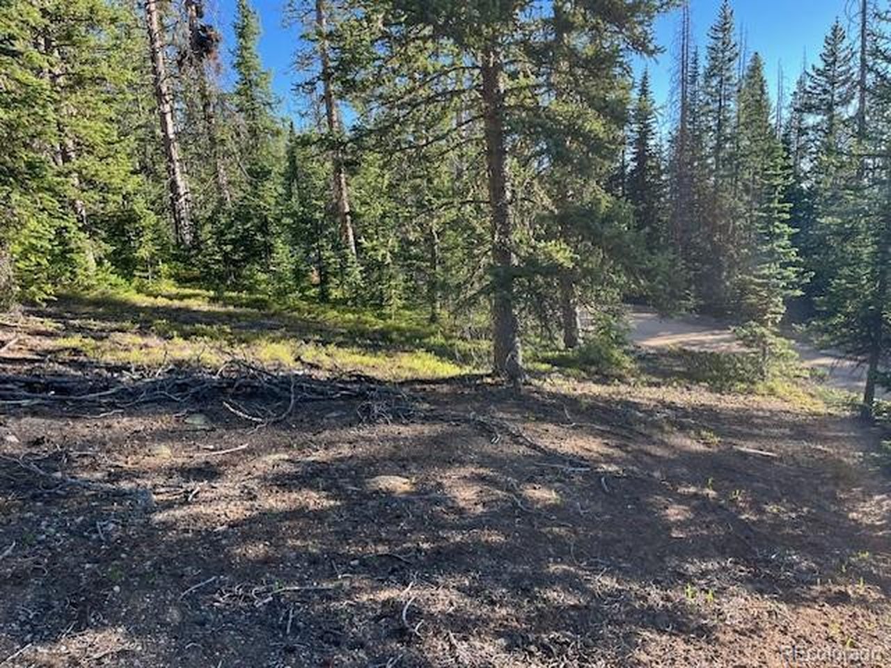 6525 Schlueter Road San Luis, CO 81152 - Photo 17 of 21