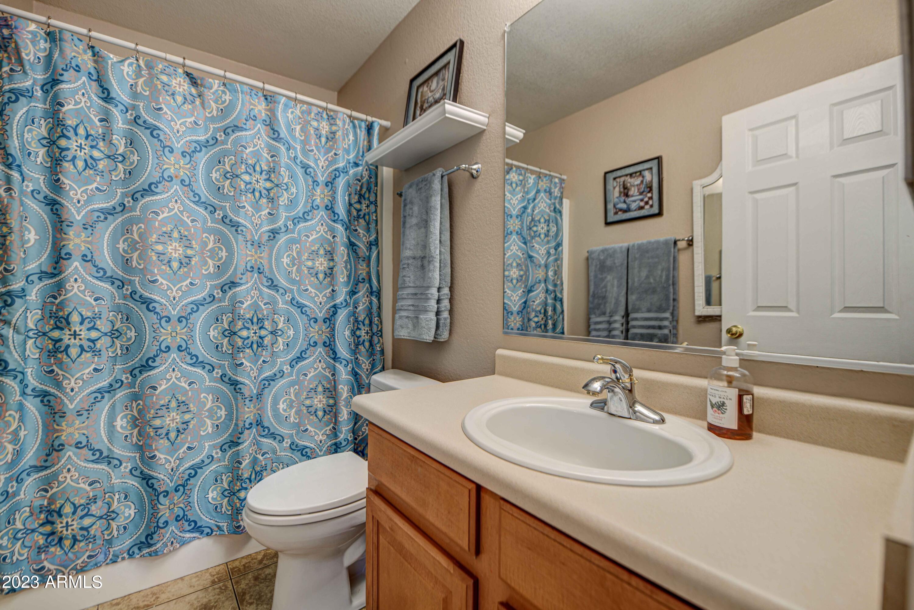 3430 South Bowman Road Apache Junction, AZ 85119 - Photo 9 of 45 Bathroom 2-pic 2