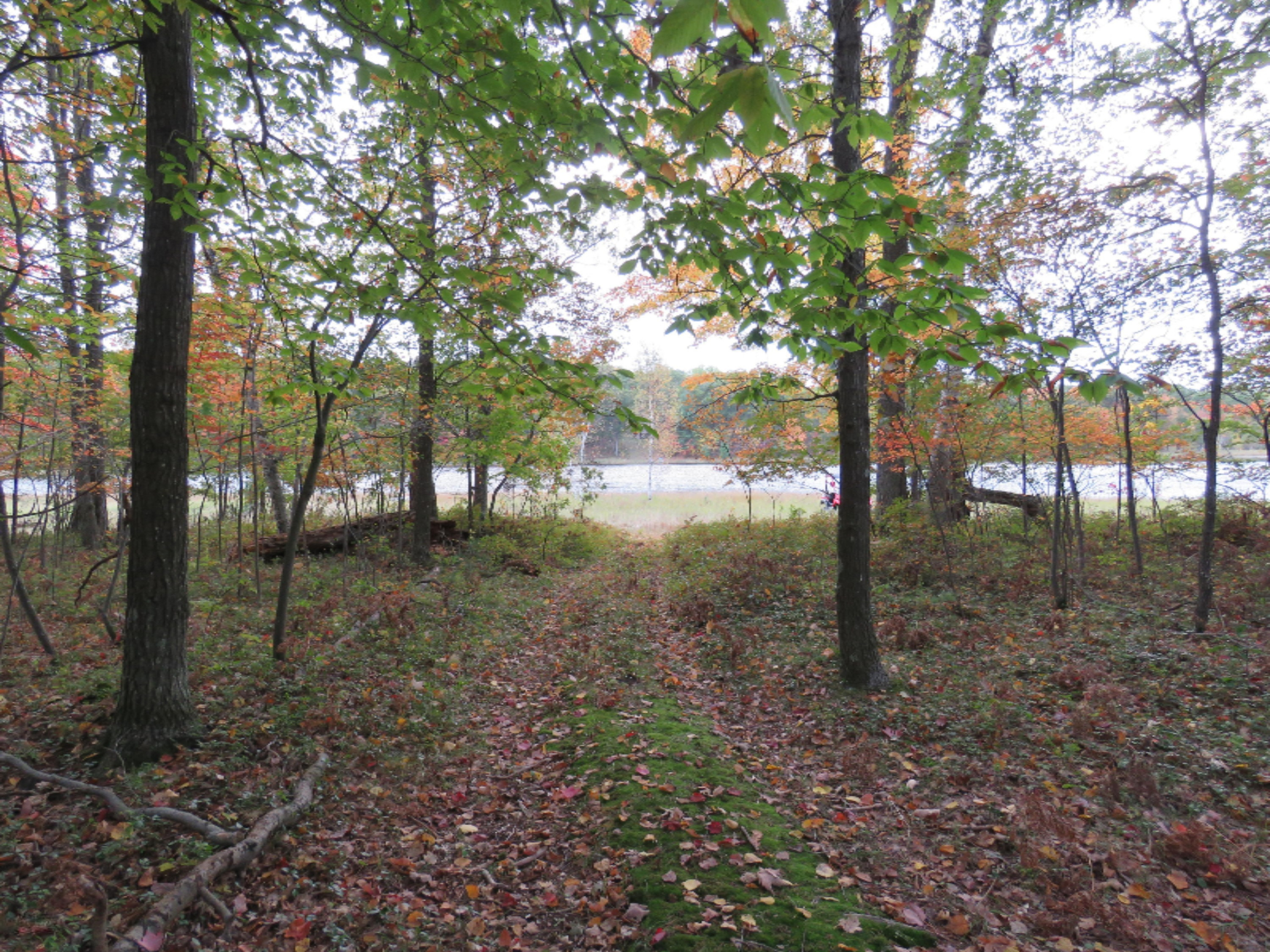 Lot 335 Alpine Drive Reed City, MI 49677 - Photo 1 of 34 lot 335 Alpine dr pic 2