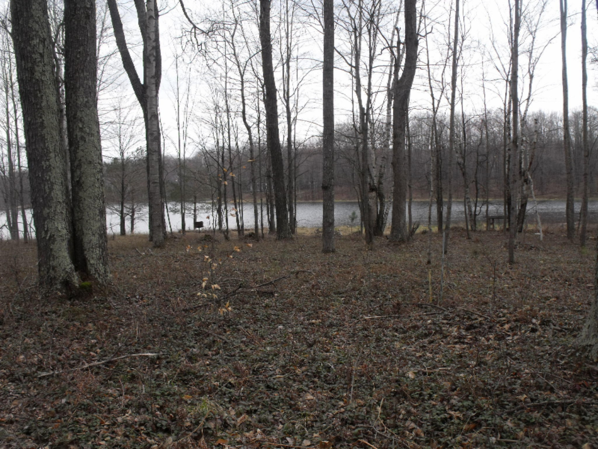 Lot 335 Alpine Drive Reed City, MI 49677 - Photo 12 of 34 DSCF9447