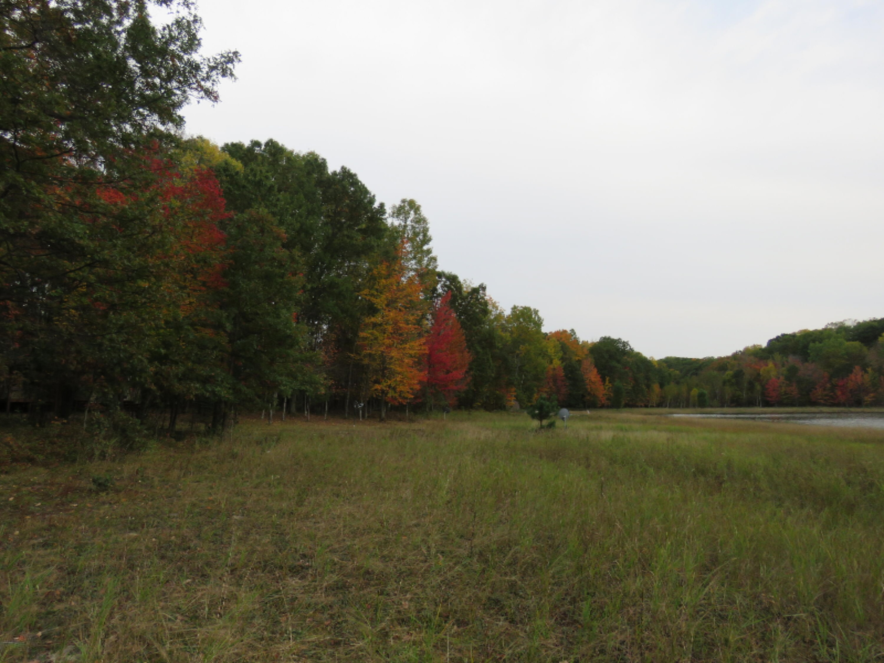 Lot 335 Alpine Drive Reed City, MI 49677 - Photo 13 of 34 Lot 335 Alpine dr pic 5