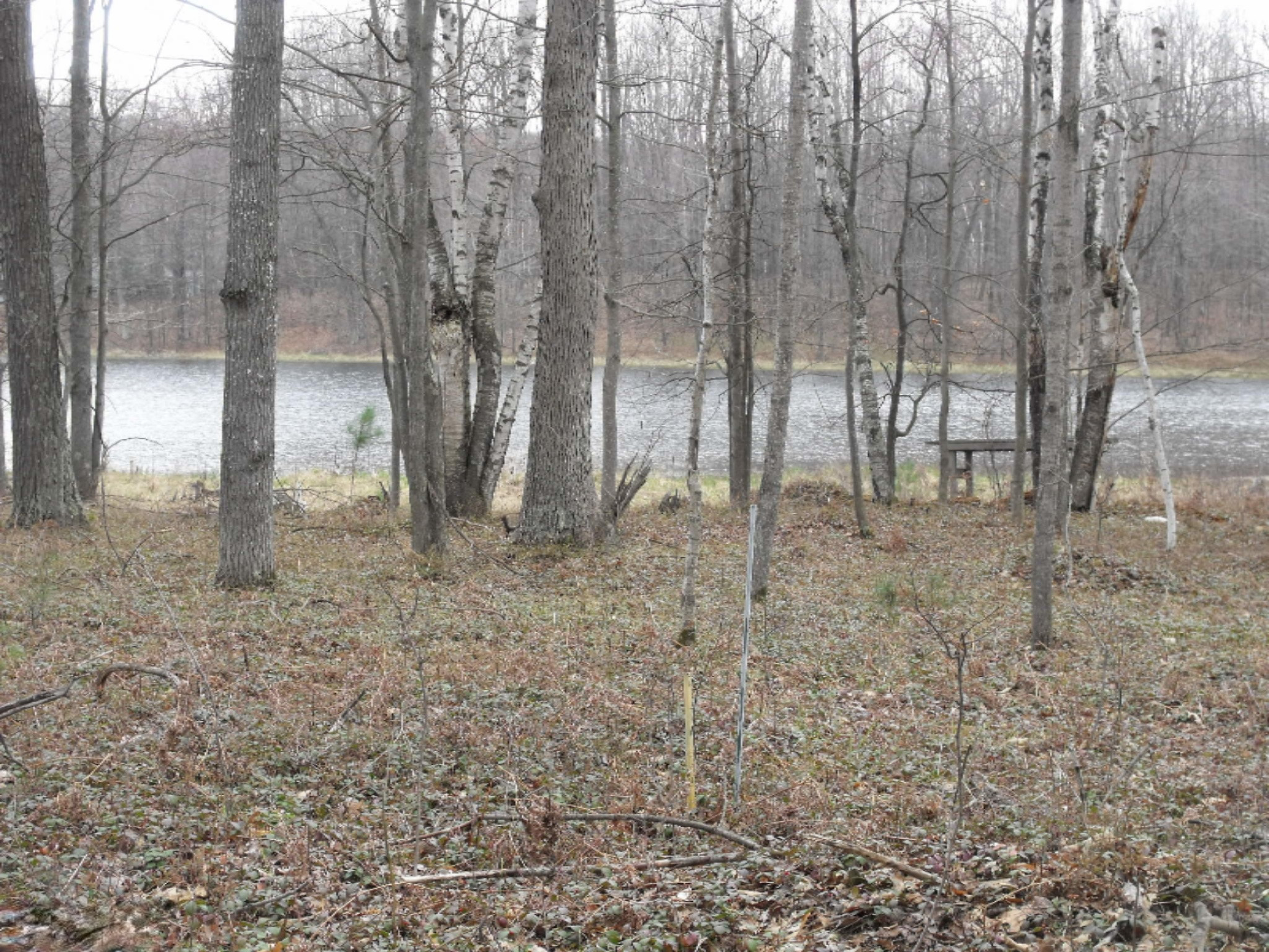 Lot 335 Alpine Drive Reed City, MI 49677 - Photo 14 of 34 DSCF9448