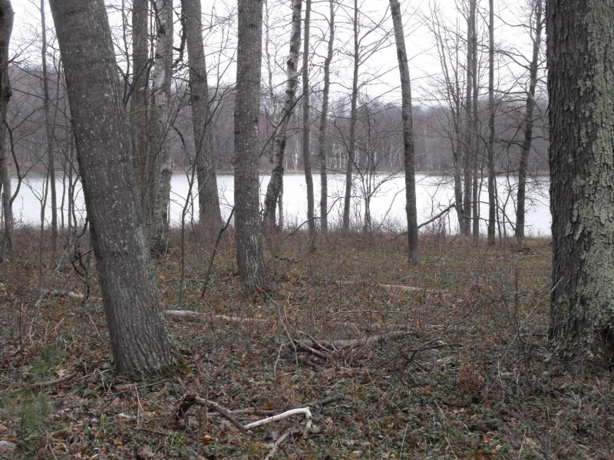 Lot 335 Alpine Drive Reed City, MI 49677 - Photo 16 of 34 DSCF9450