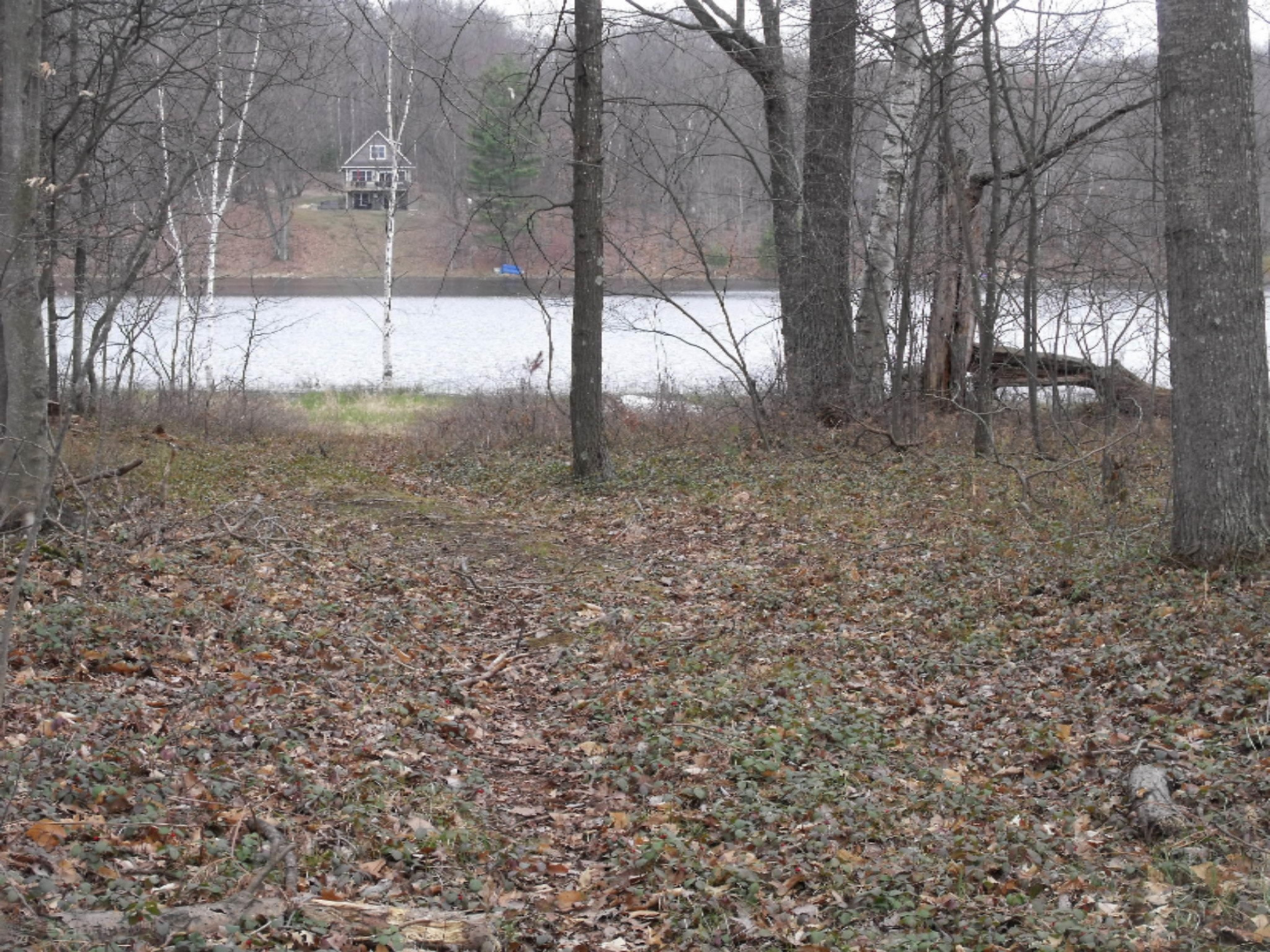Lot 335 Alpine Drive Reed City, MI 49677 - Photo 17 of 34 DSCF9451