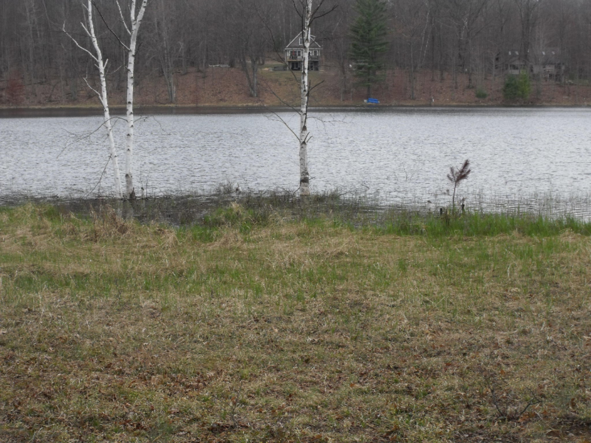 Lot 335 Alpine Drive Reed City, MI 49677 - Photo 18 of 34 DSCF9453