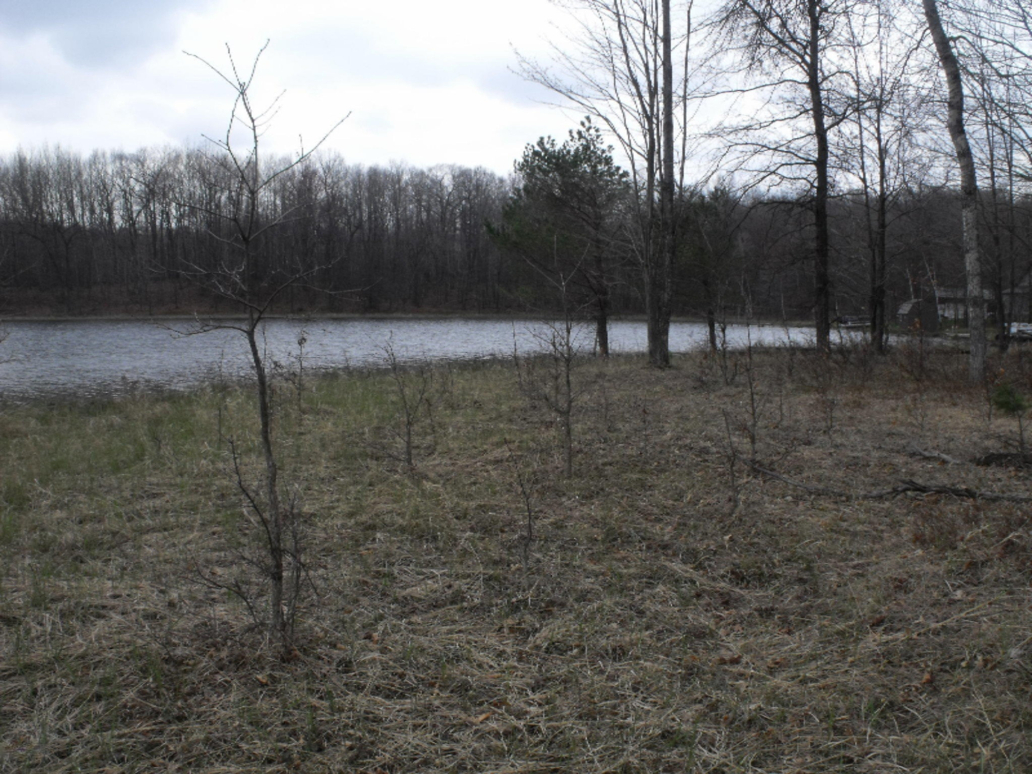 Lot 335 Alpine Drive Reed City, MI 49677 - Photo 20 of 34 DSCF9459